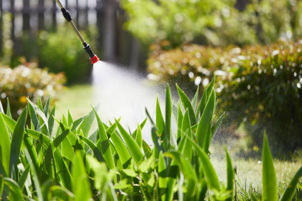 Tamper-Resistant Bait Stations for Rodents in West Swanzey