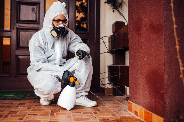 Attic and Crawl Space Rodent Treatment in West Swanzey